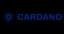 Cardano payment method