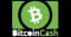 Bitcoin Cash payment method