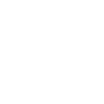 Fenikss